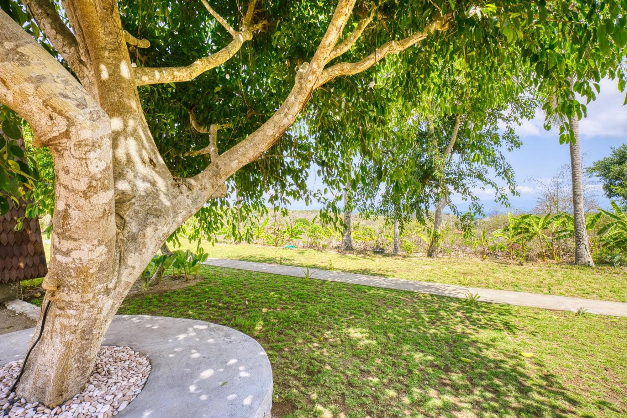 Toyapakeh Nature Hill Penida מראה חיצוני תמונה